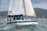 halley 2932c whyw25 fri 800_7514